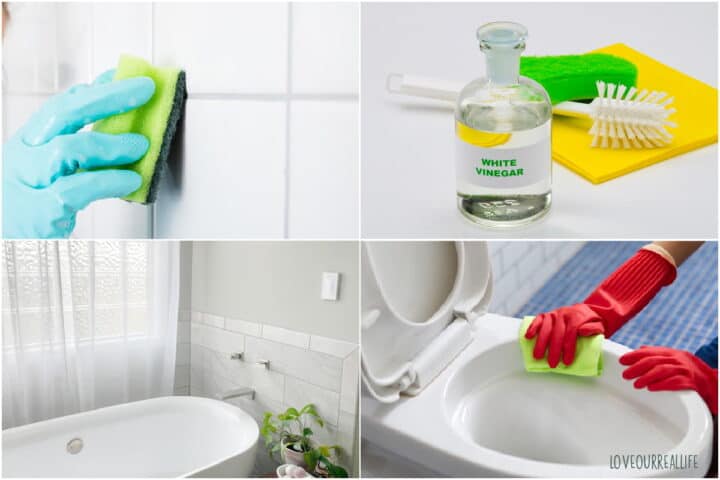 Toilet Cleaning